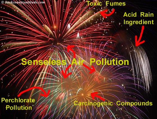 Thrills from cheap fireworks are not worth the Pollution caused Cheap Fireworks = Cheap Thrills = Toxic Air Pollution